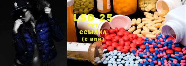 индика Коряжма