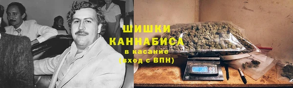 каннабис Корсаков