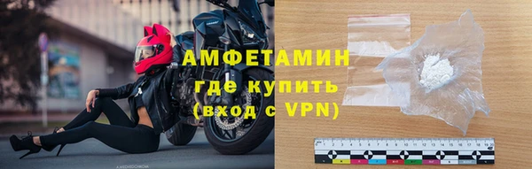 индика Коряжма