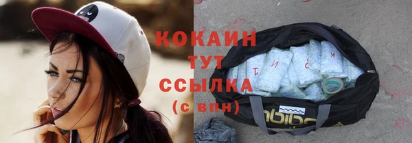 индика Костерёво