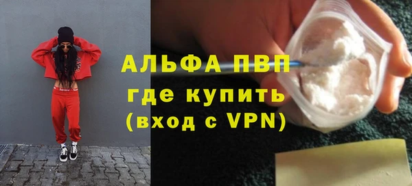 индика Костерёво