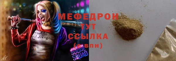 индика Коряжма