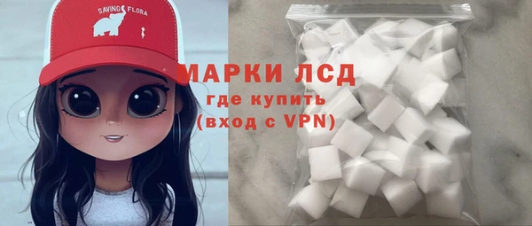 индика Костерёво