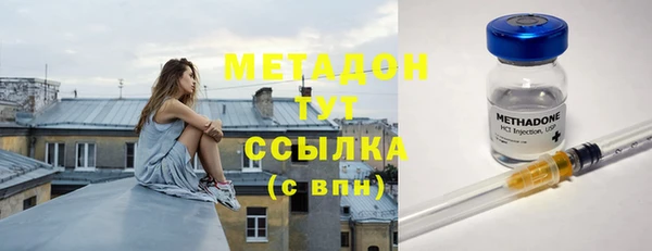 индика Костерёво