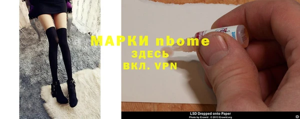 индика Коряжма
