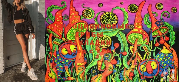 индика Костерёво