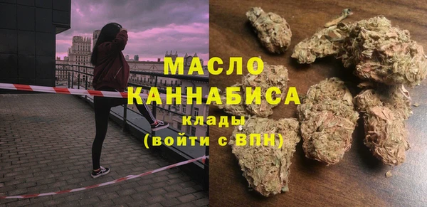 индика Коряжма