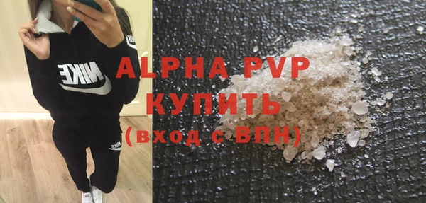 индика Костерёво