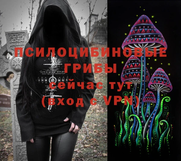 индика Коряжма