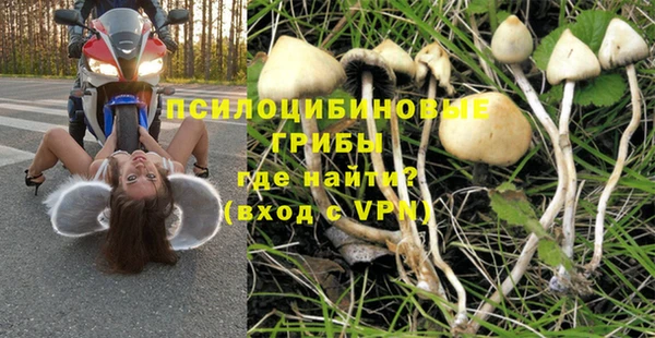каннабис Корсаков