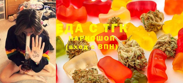 индика Коряжма