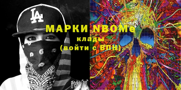 индика Коряжма