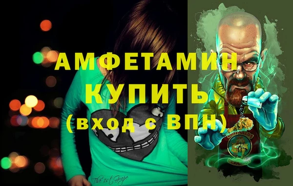 индика Коряжма