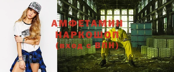 индика Коряжма