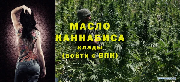 индика Костерёво