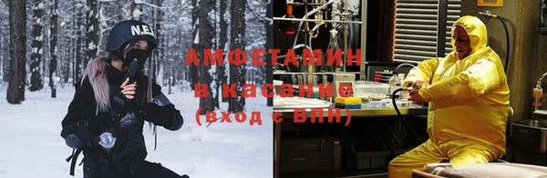 индика Коряжма