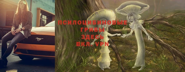 каннабис Корсаков